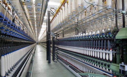 今年工業大麻真的火了,分享一份漢麻融資商業計劃書范文