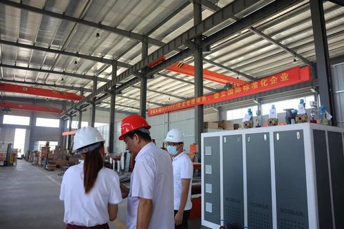 1噸燃氣蒸汽發生器哪個品牌